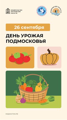 26 сентября вертикаль 01