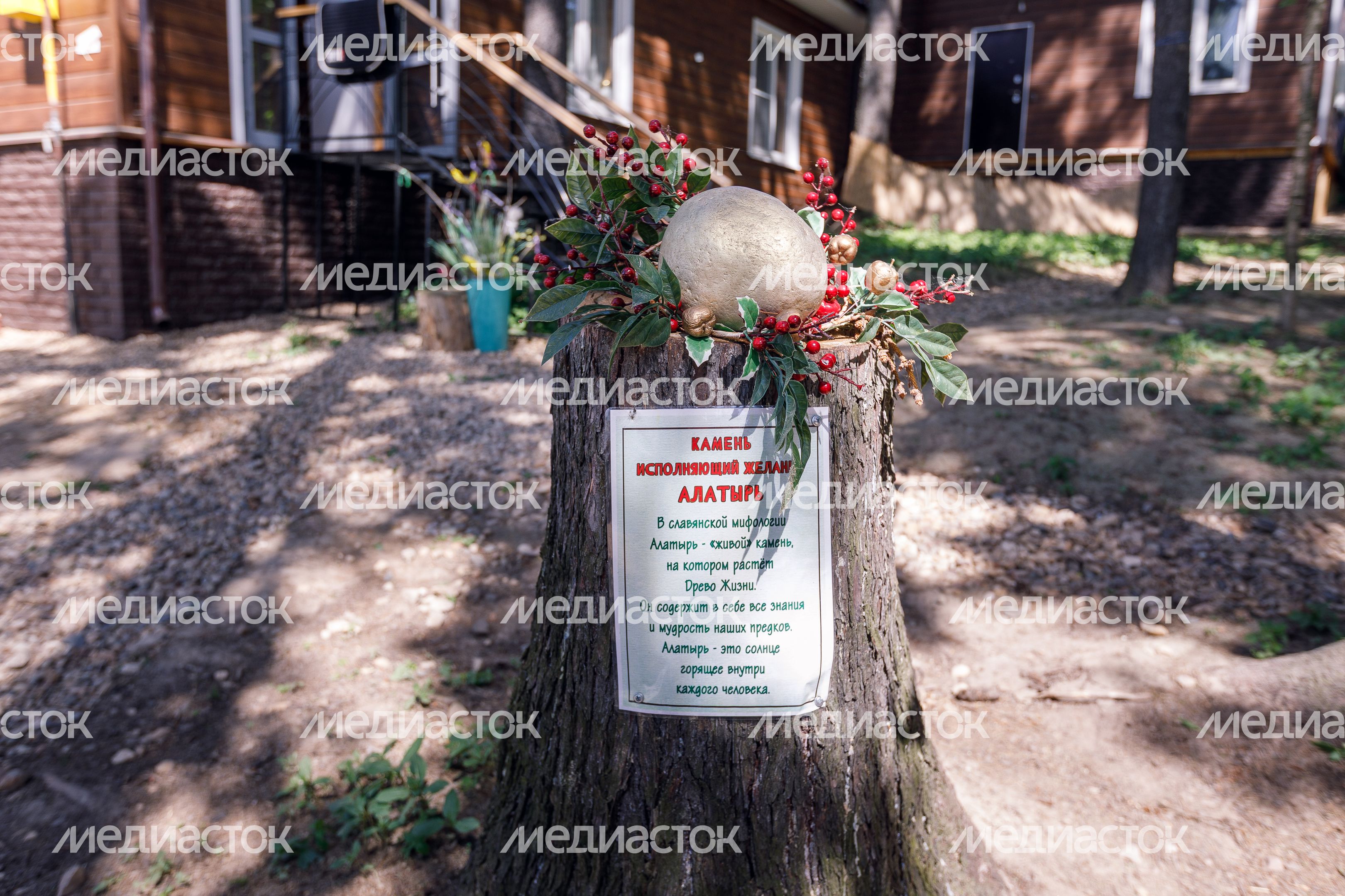 Экопарк «Птичник» в Пушкино Экопарк «Птичник» в Пушкино