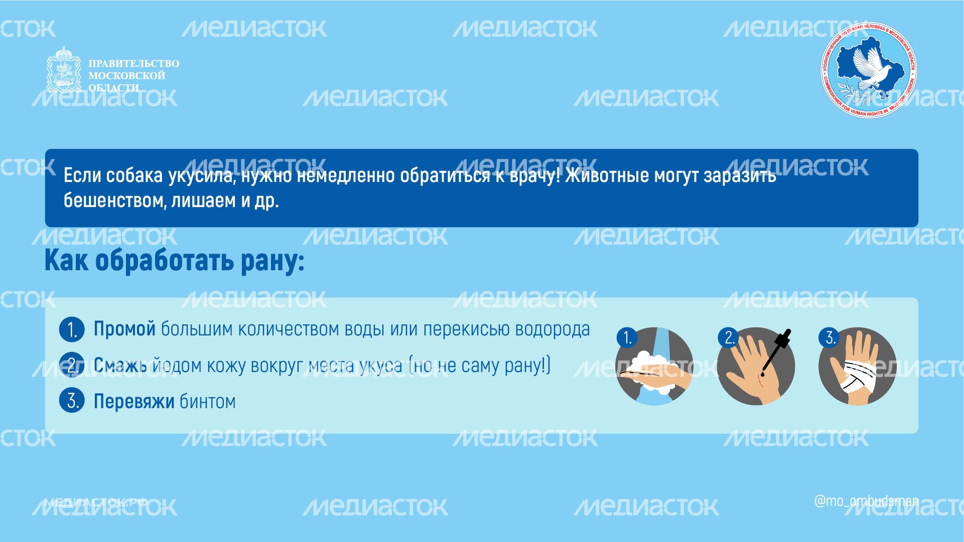 Осторожно злая собака горизонталь 08 Осторожно злая собака горизонталь 08