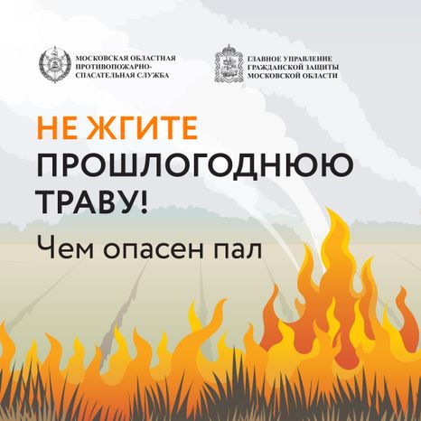Пал травы