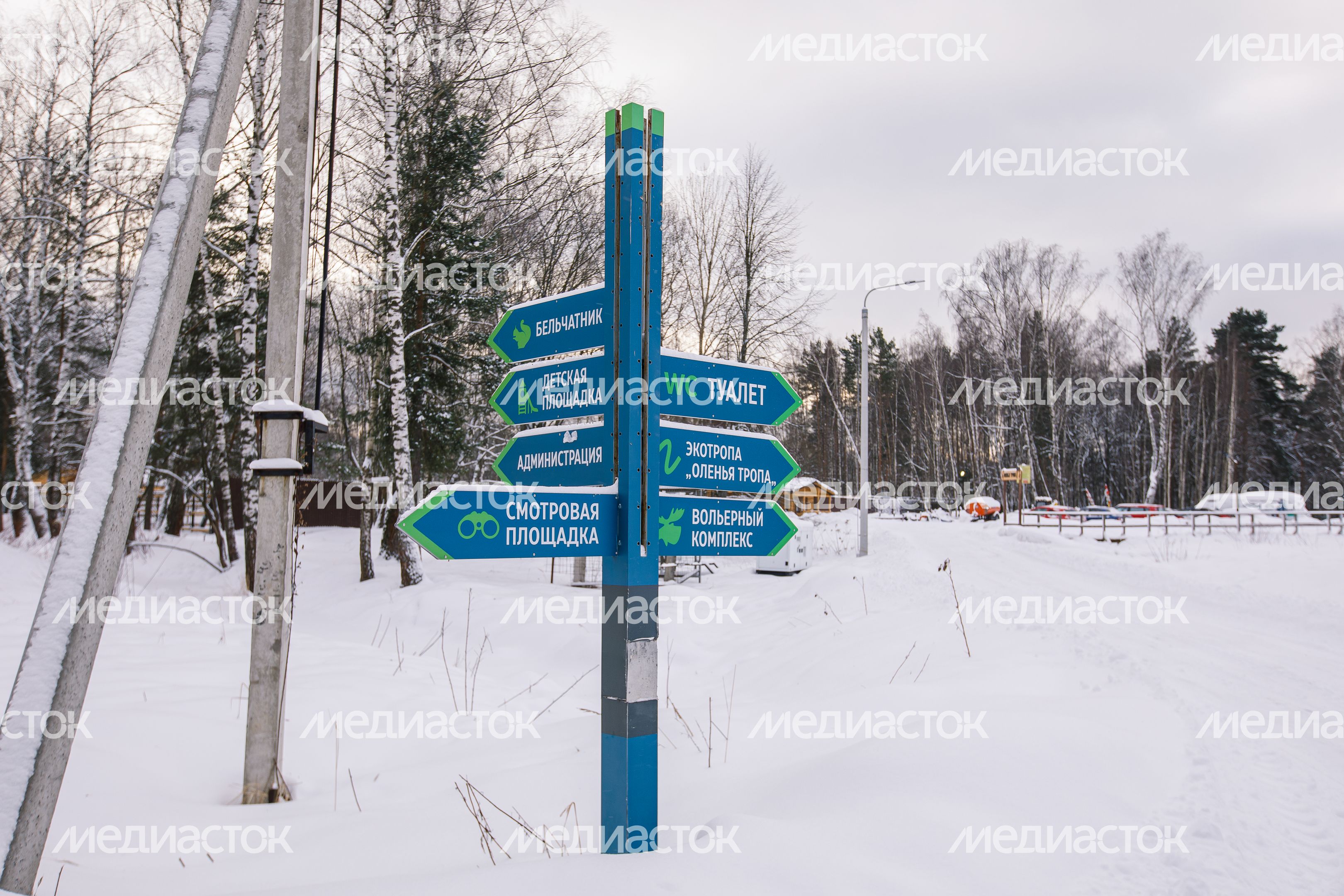 Лосиная биостанция в Национальном парке «Лосиный остров» в Мытищах