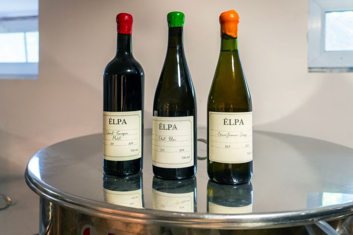 Винодельня Elpa Winery в Краснознаменске