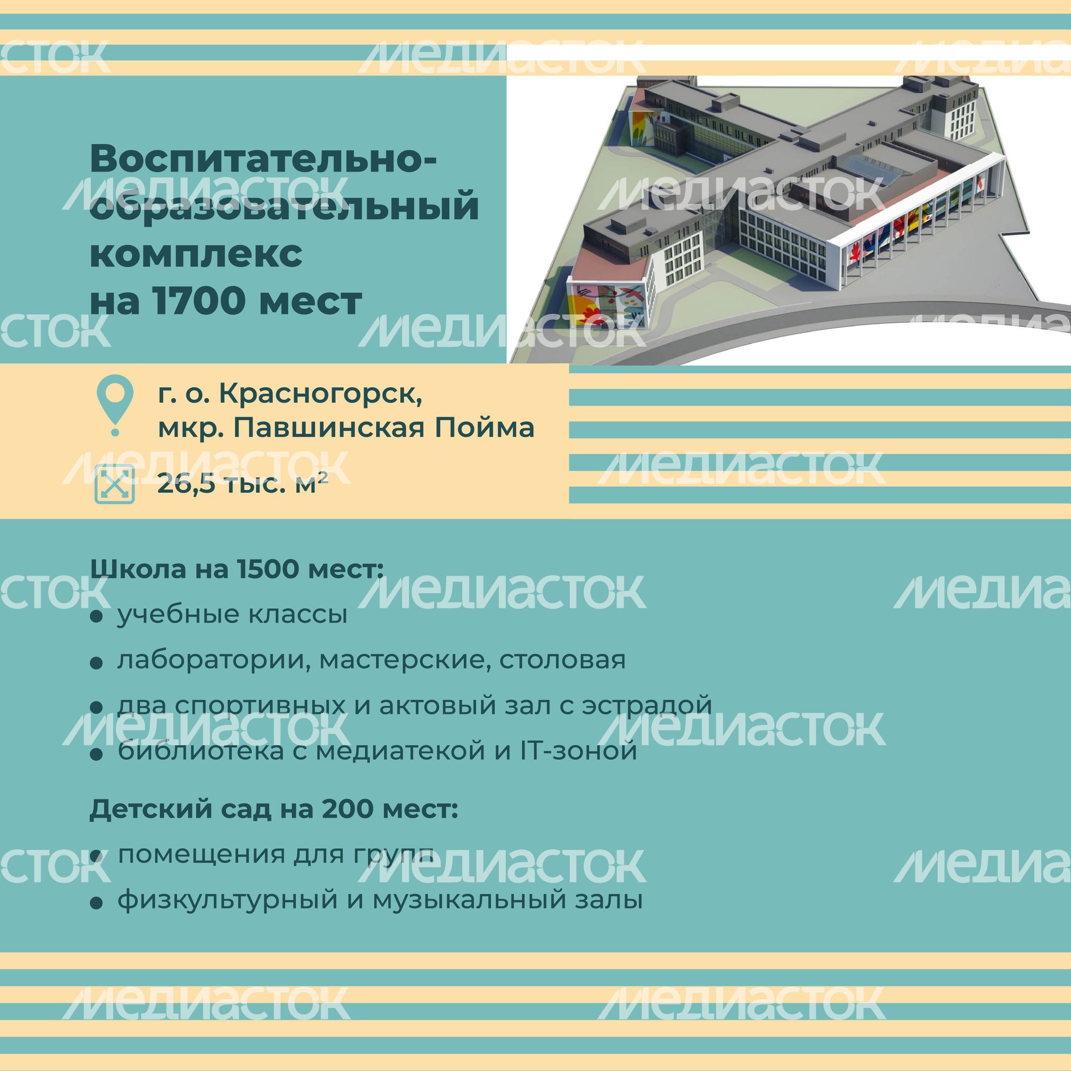 школы 2024, квадрат-04.jpg
