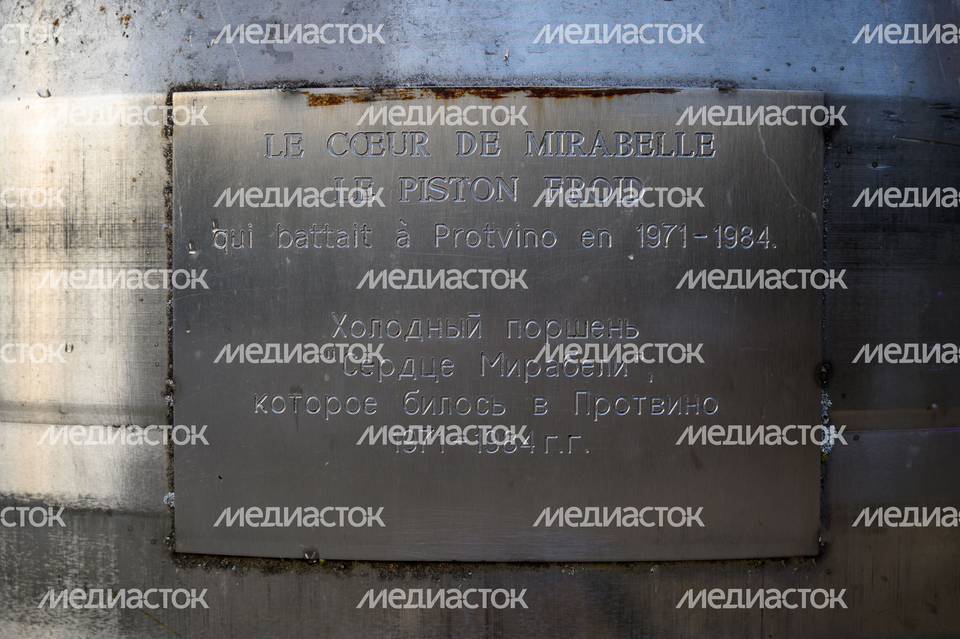 Поршень пузырьковой камеры "Мирабель" в Протвино Поршень пузырьковой камеры "Мирабель" в Протвино