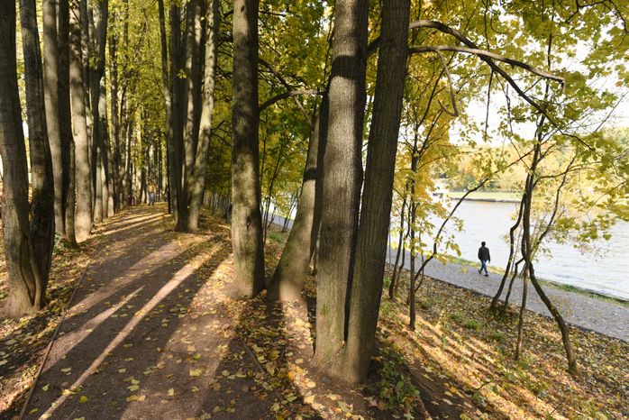 Золотая осень в Химках
