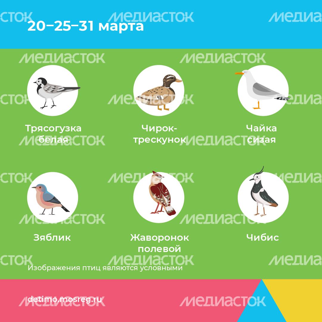 весна летит - квадрат - 04