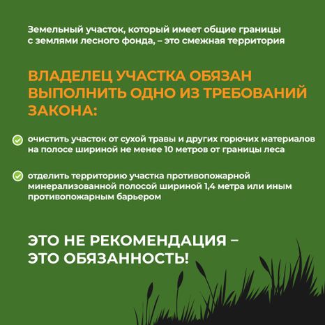 комлесхоз_пал_кв_7.jpg