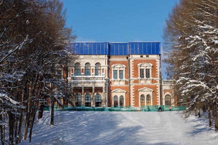 Зима в усадьбе Быково в Раменском