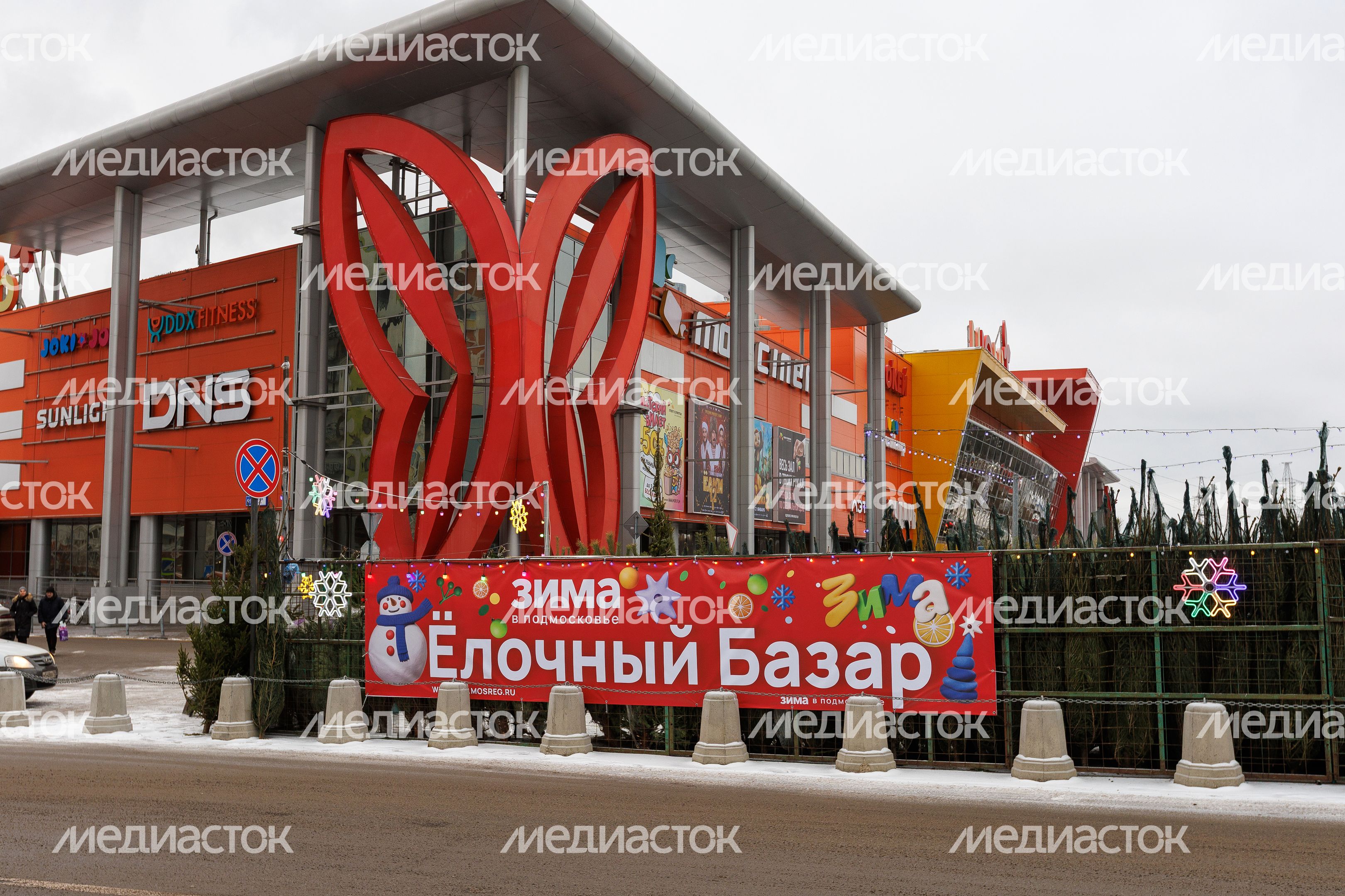 Елочный базар на улице Мира в Мытищах Елочный базар на улице Мира в Мытищах