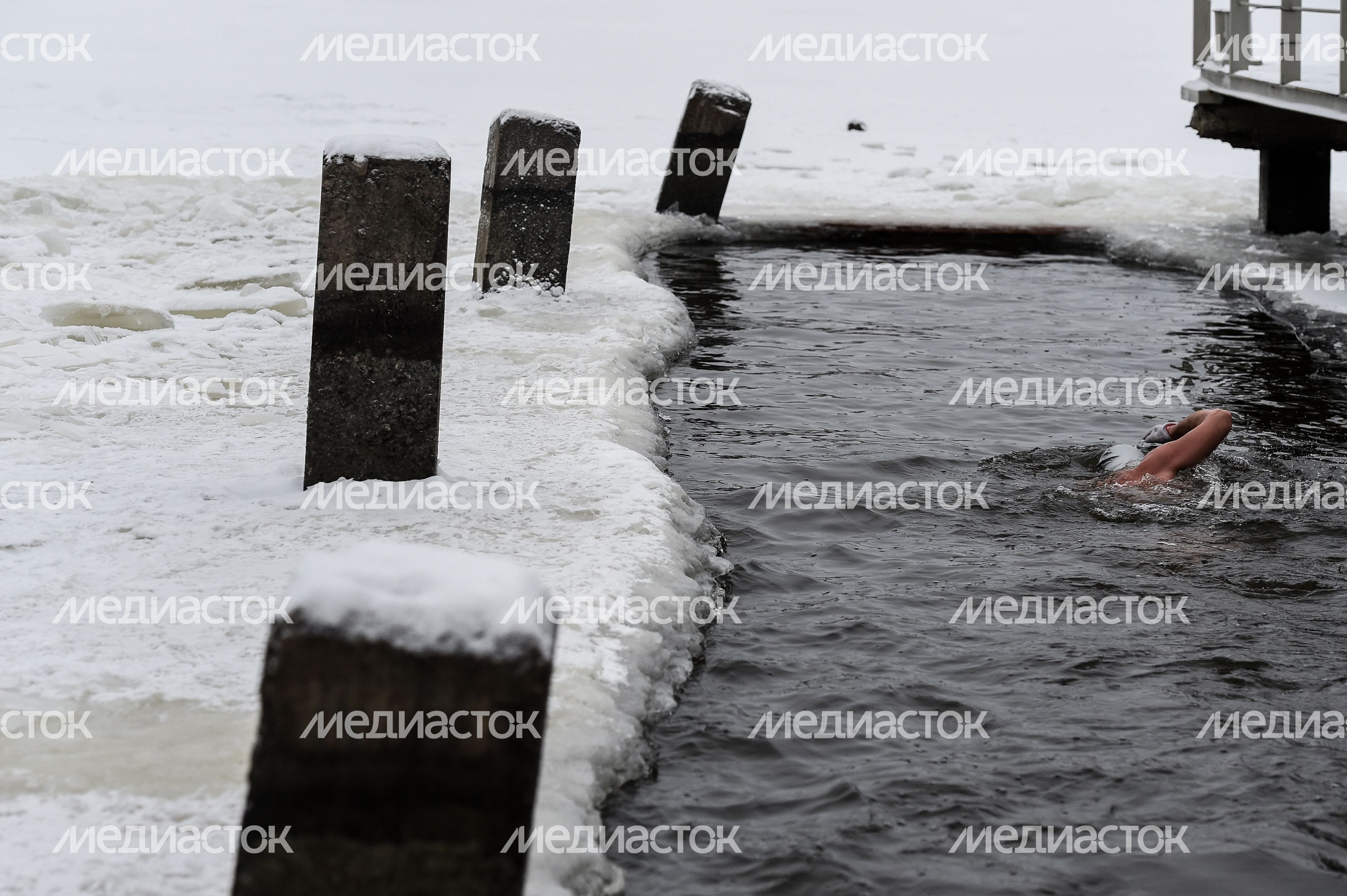 Купание моржей в Долгопрудном