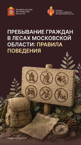 Пребывание граждан в лесах Вертикаль 01