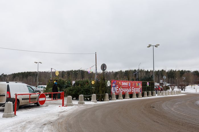 Елочный базар на улице Мира в Мытищах