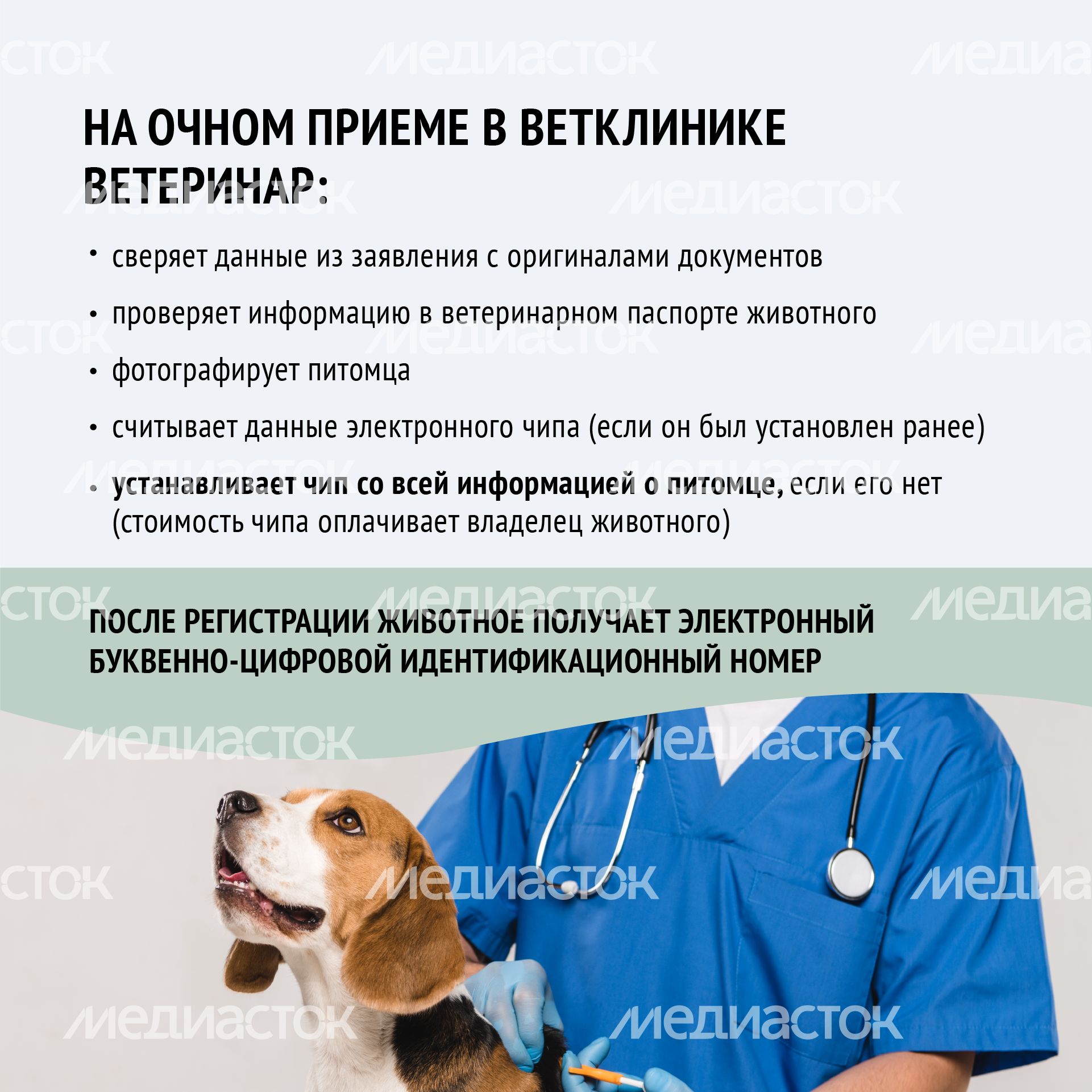 Зарегистрировать домашнее животное ред 2-квадрат-07.png