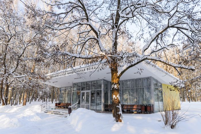 Красногорск. Усадьба «Архангельское». Зима