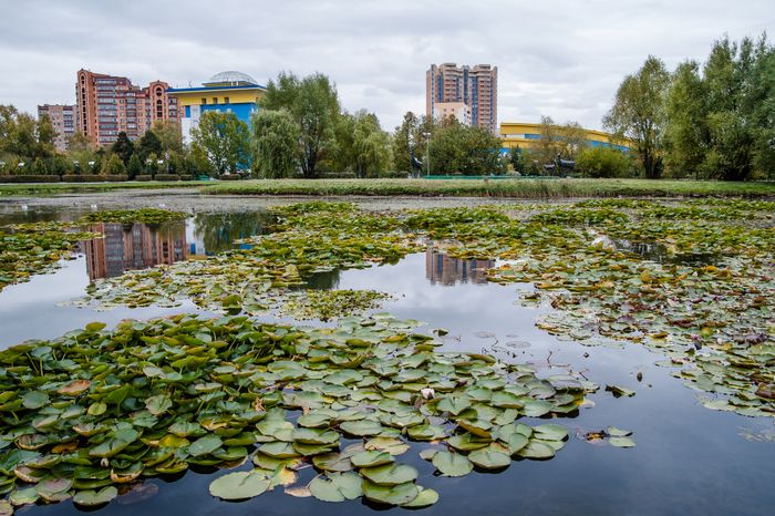 Виды города Одинцово