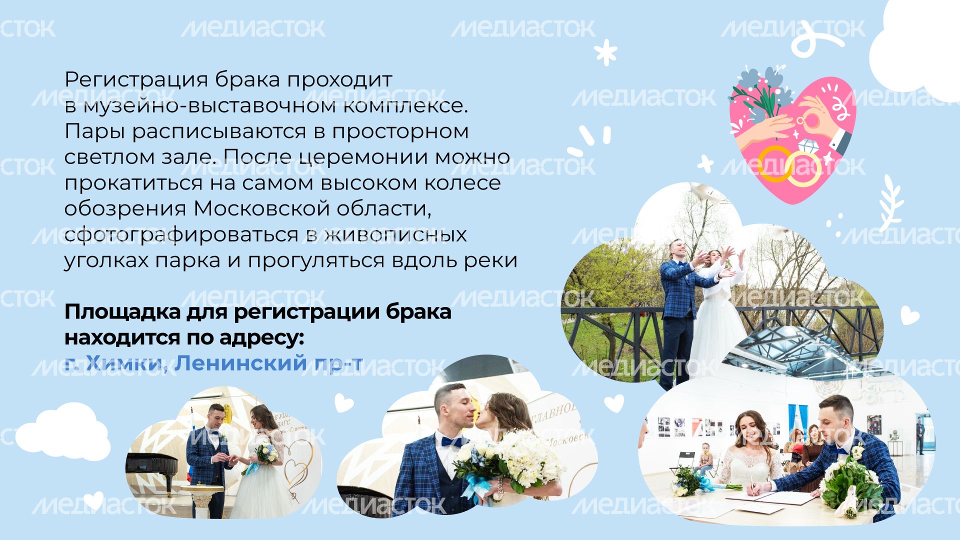 Горизонтали Парк Толстого 04.jpg