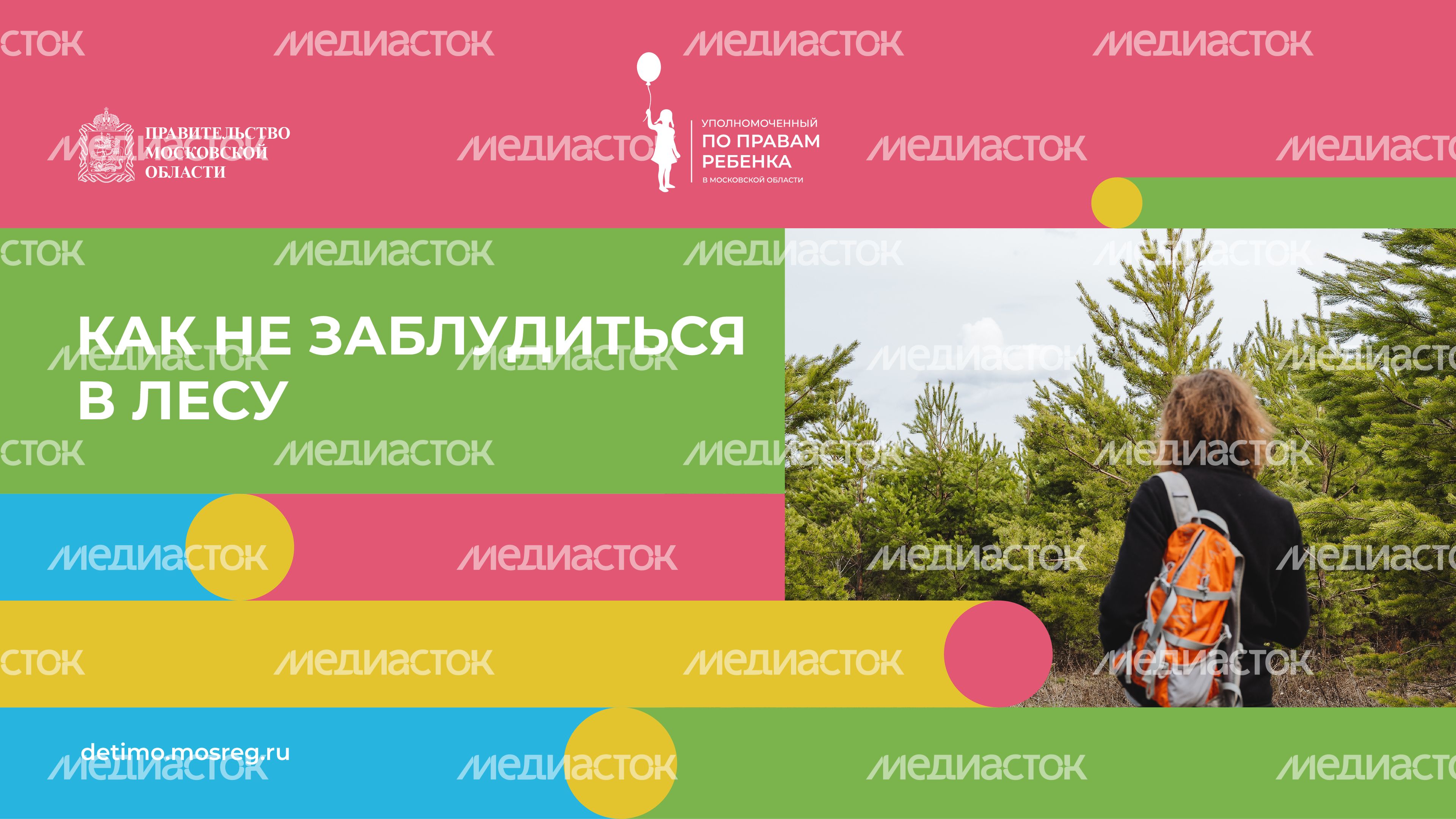 горизонталь как не заблудиться в лесу.jpg