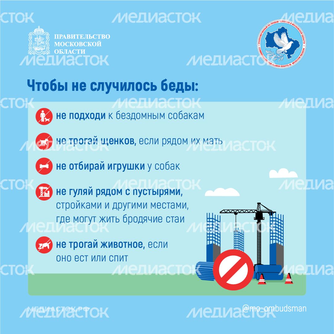 Осторожно злая собака квадрат 07 Осторожно злая собака квадрат 07