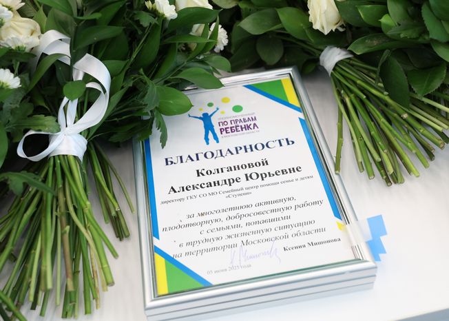 Подмосковных соцработников поздравили с их профессиональным праздником