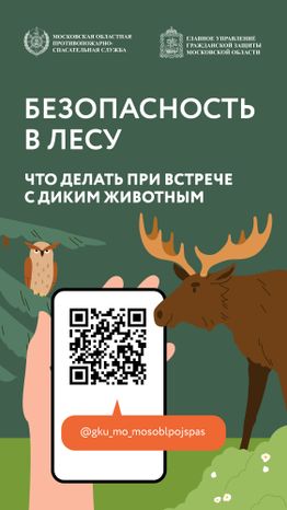 Вертикаль Безопасность в лесу 01.jpg