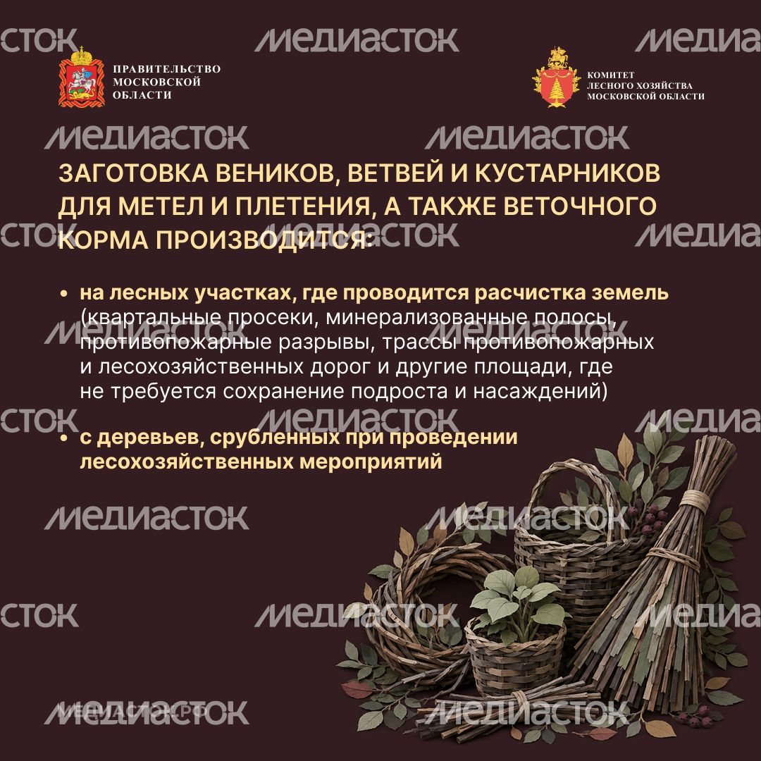 Недревесные ресурсы для собственных нужд Квадрат 07
