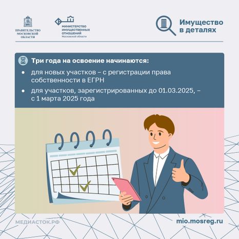 Освоение участка за 3 года квадрат 06