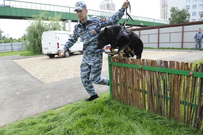 Центр кинологической службы в Москве