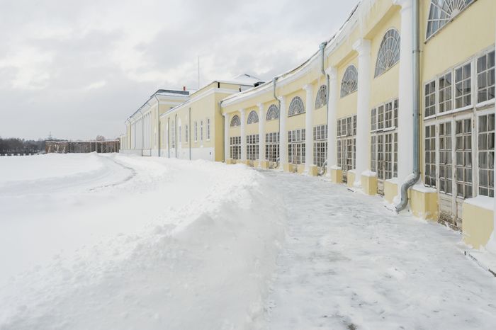 Балашиха. Усадьба Горенки. Зима