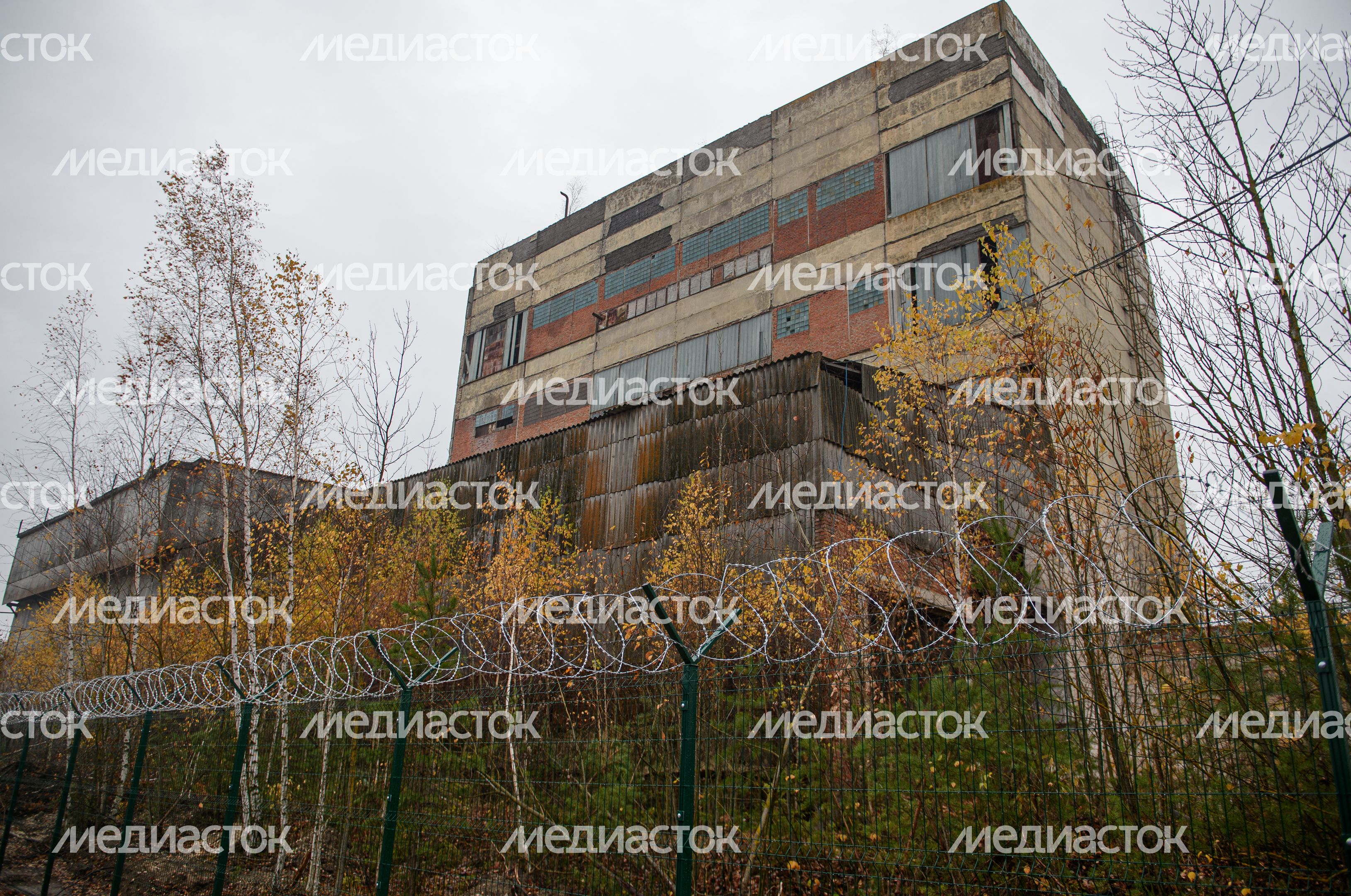 Осенние виды заброшенного завода «Кормофос»
