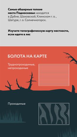 Болото-Вертикаль-03.jpg