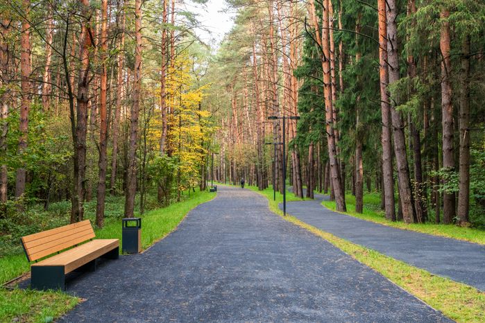Осень в лесопарке «Городская массовка» в Дедовске округа Истра