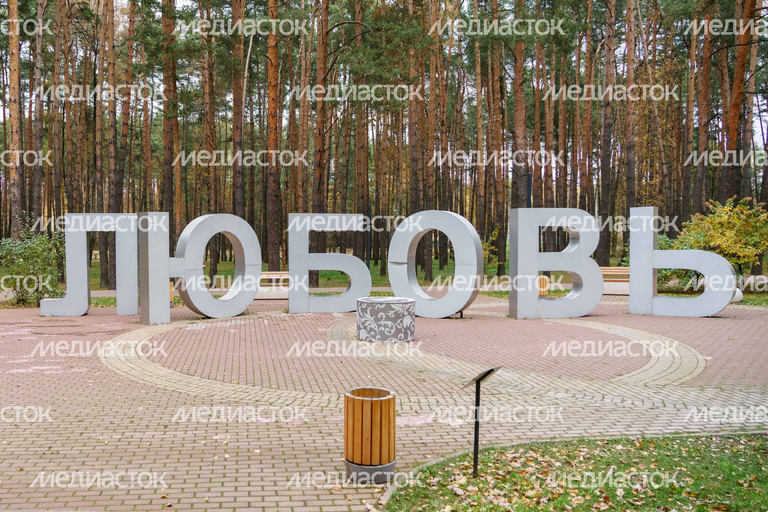 Любовь в Домодедовском осеннем парке культуры и отдыха «Елочки» Любовь в Домодедовском осеннем парке культуры и отдыха «Елочки»