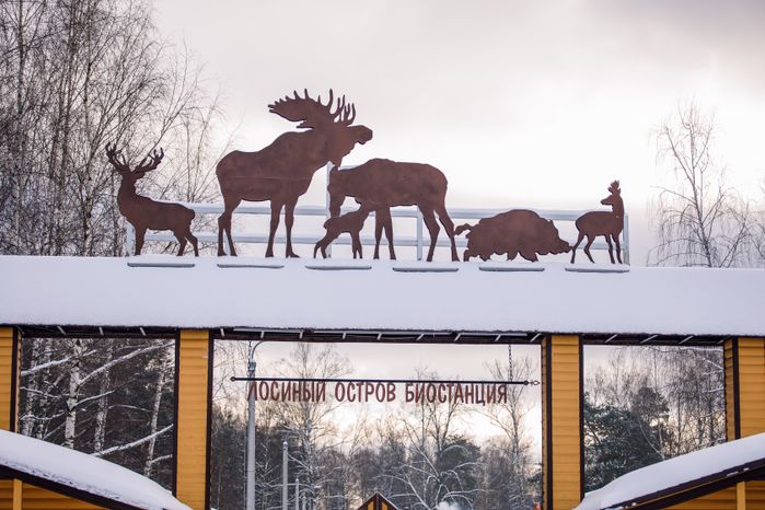 Лосиная биостанция в Национальном парке «Лосиный остров» в Мытищах