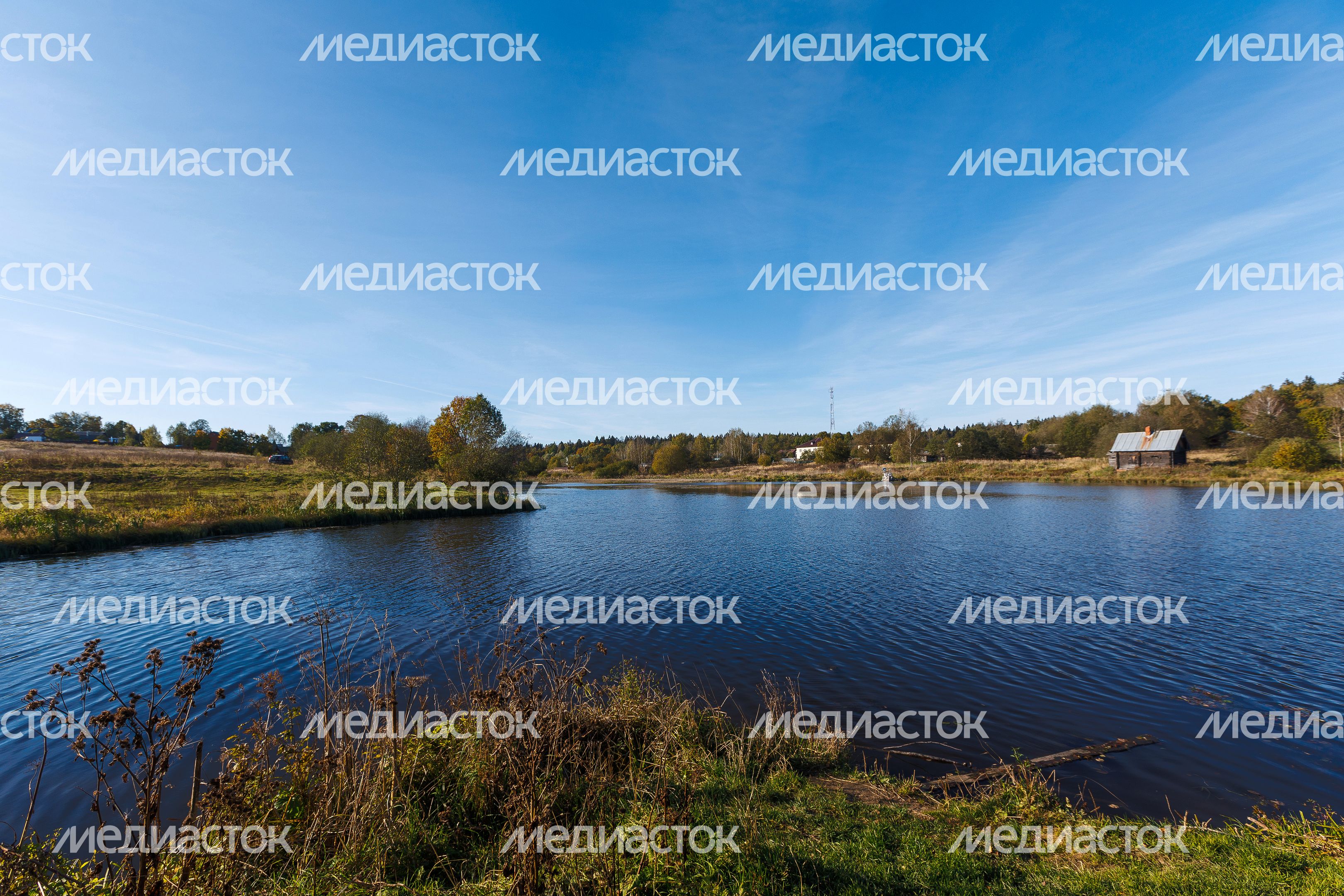 Мурановский пруд на реке Талица в деревне Ашукино округа Пушкинский Мурановский пруд на реке Талица в деревне Ашукино округа Пушкинский