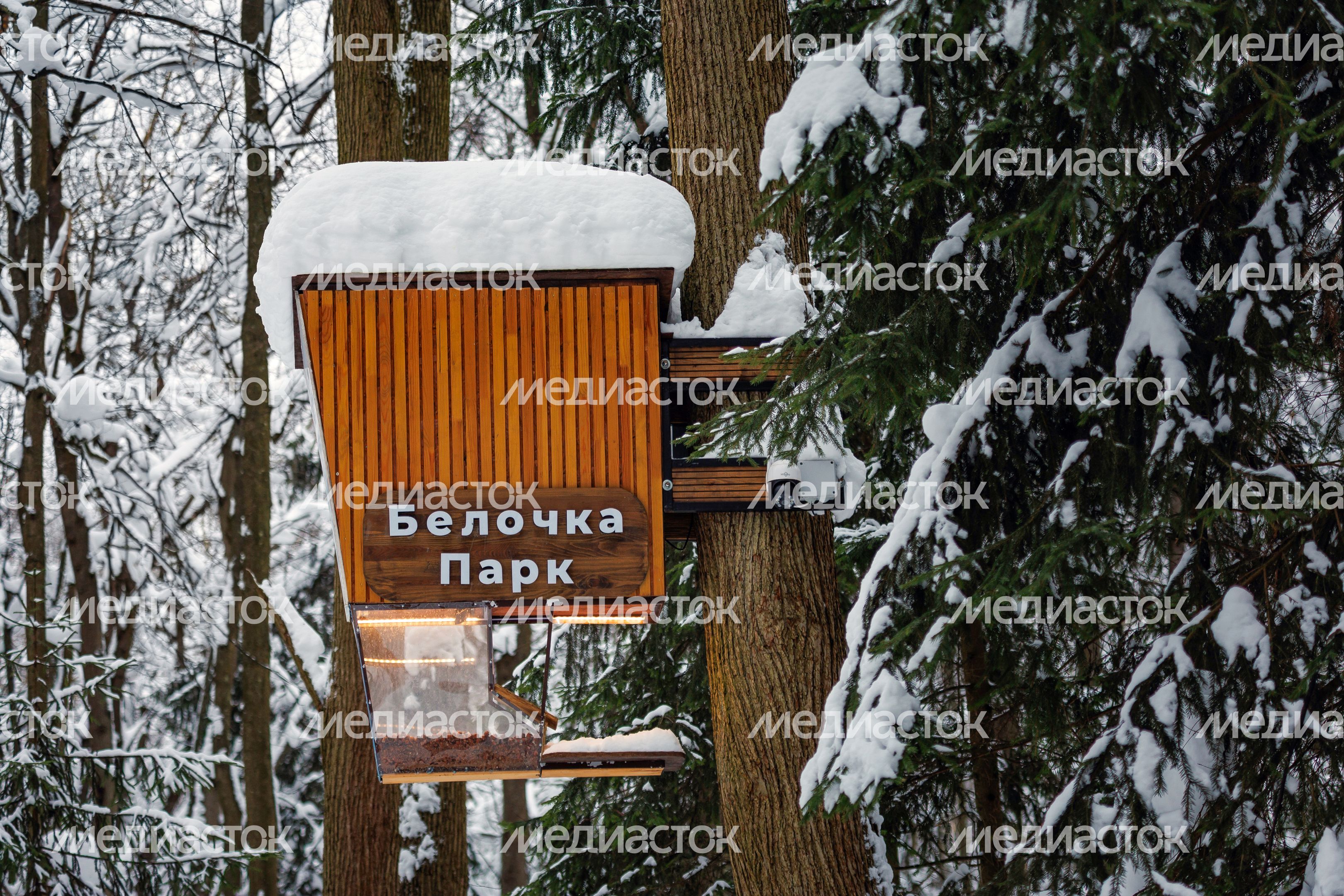 Парк "Авангард" в Электростали. Зима Парк "Авангард" в Электростали. Зима