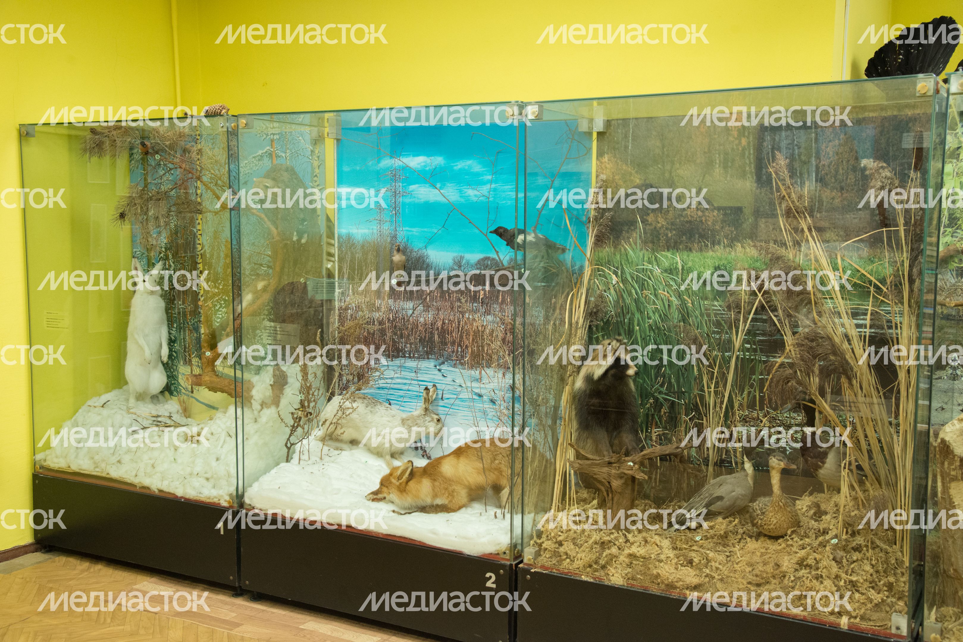Историко-краеведческий музей Историко-краеведческий музей