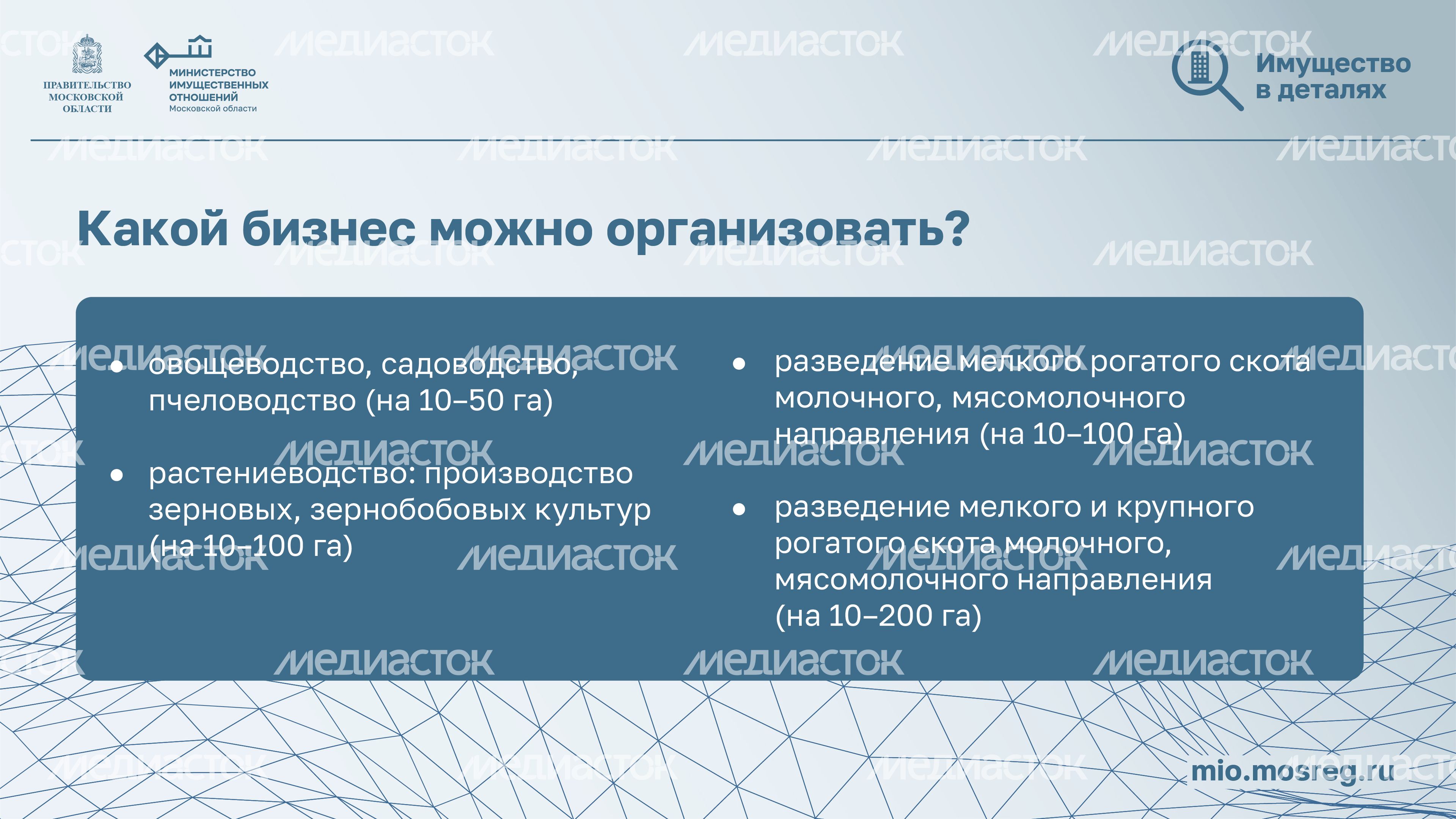 Подмосковные 10ГА_10.jpg