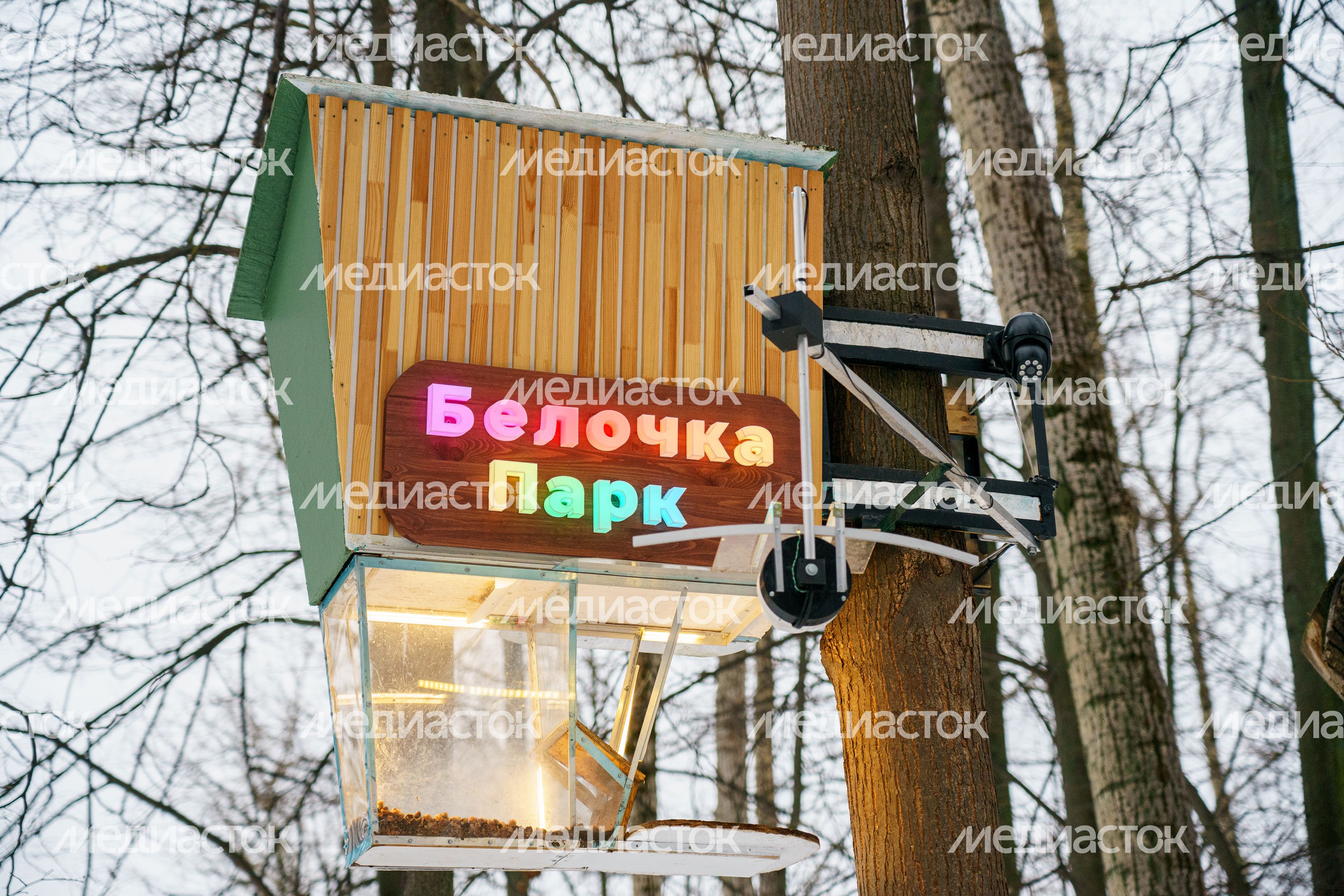 Раменский городской парк культуры и отдыха зимой Раменский городской парк культуры и отдыха зимой