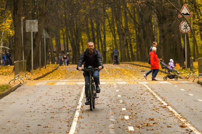 Золотая осень в парке «Сокольники»
