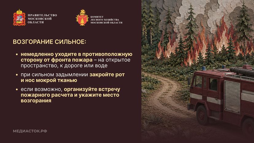 Живете рядом с лесом горизонталь 10