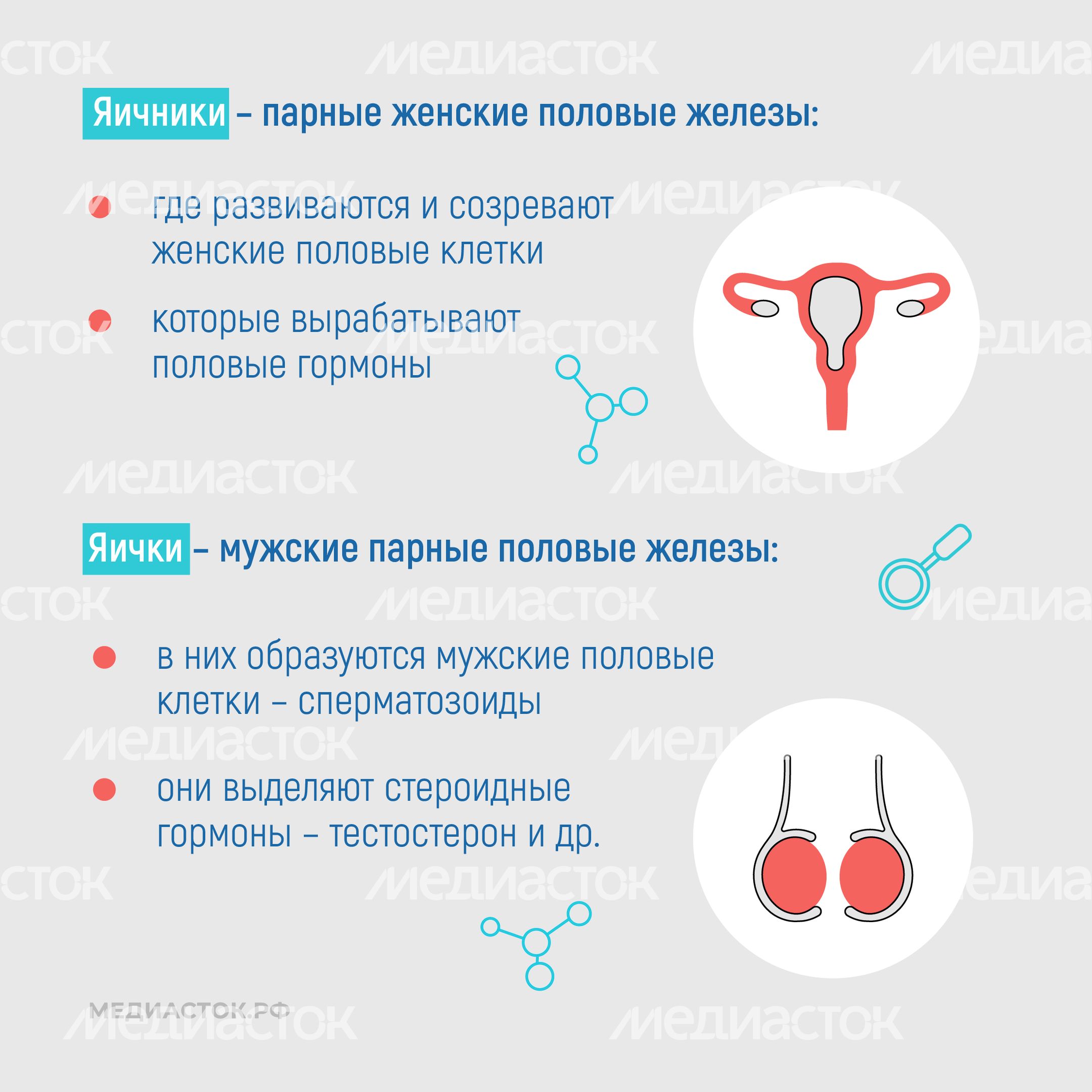Эндокринные заболевания у наркозависимых квадрат 07 Эндокринные заболевания у наркозависимых квадрат 07