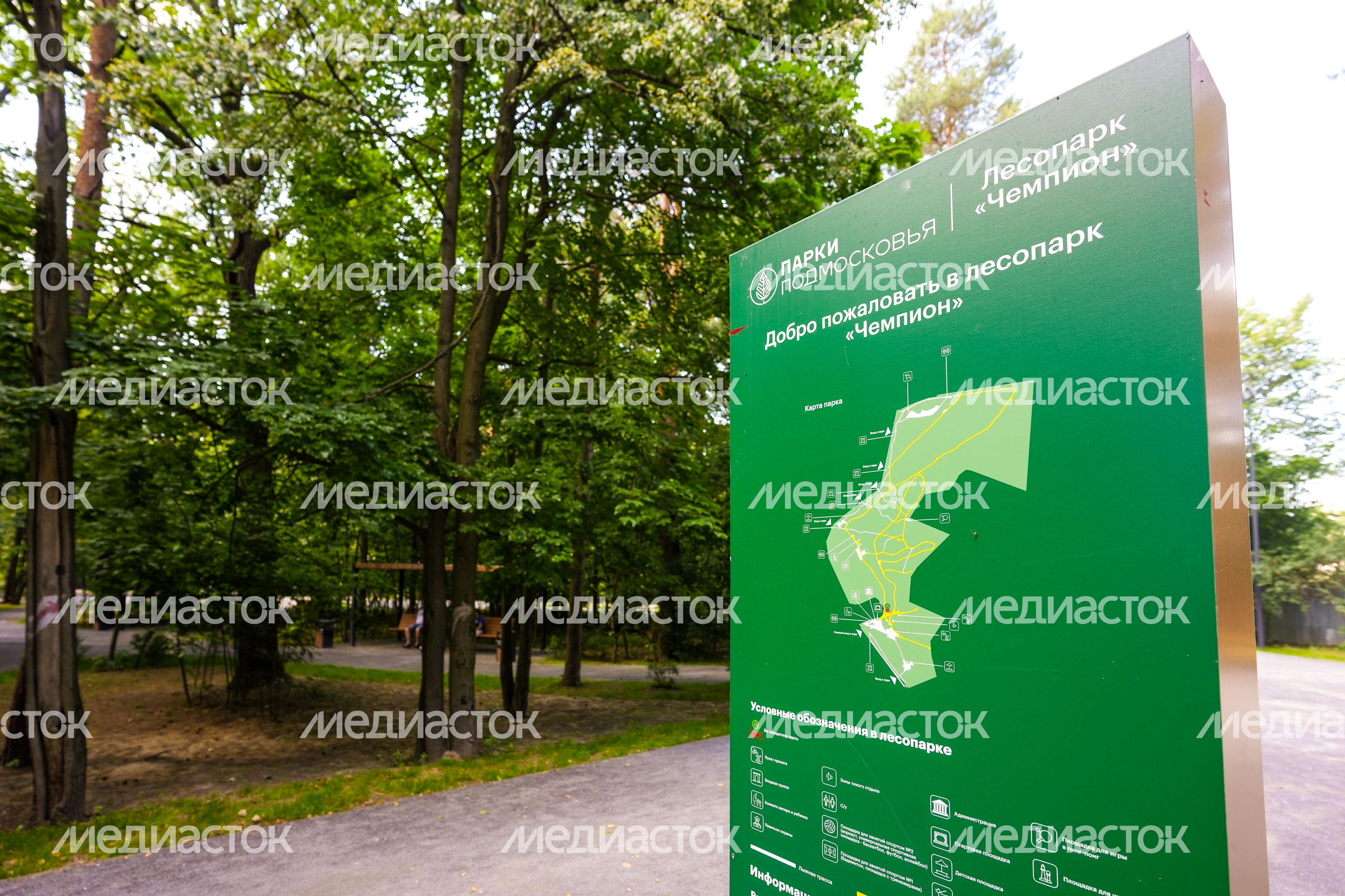 Лесопарк "Чемпион" в Дзержинском