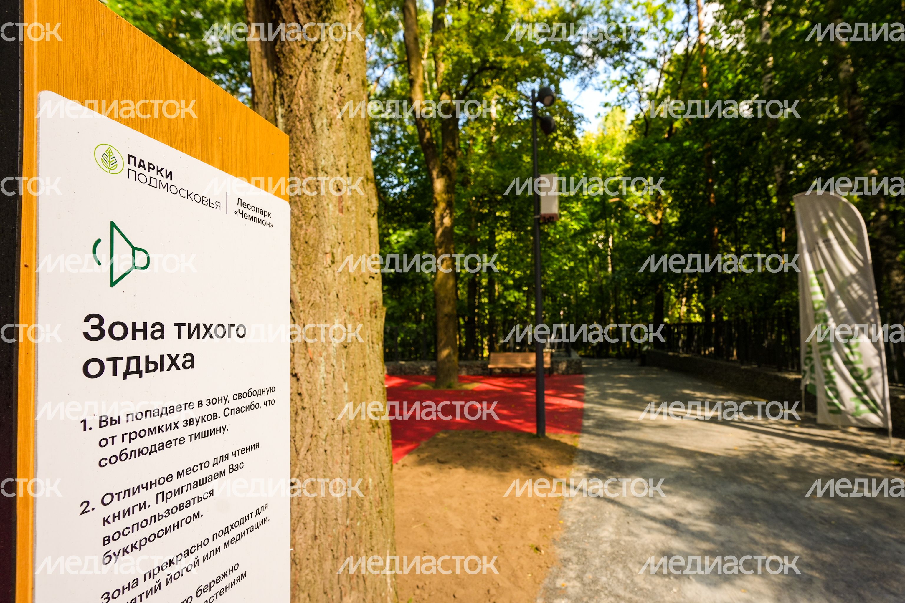 Лесопарк "Чемпион" в Дзержинском