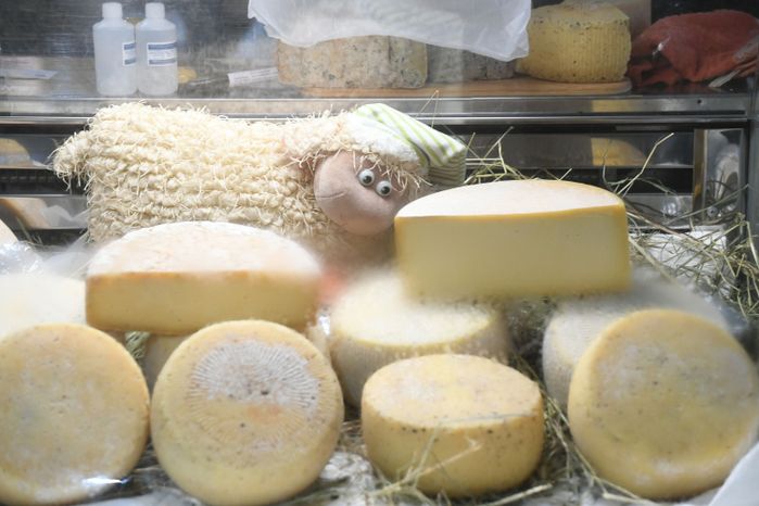 Открытие IV Всероссийского фестиваля фермерской продукции «Сыр. Пир. Мир»