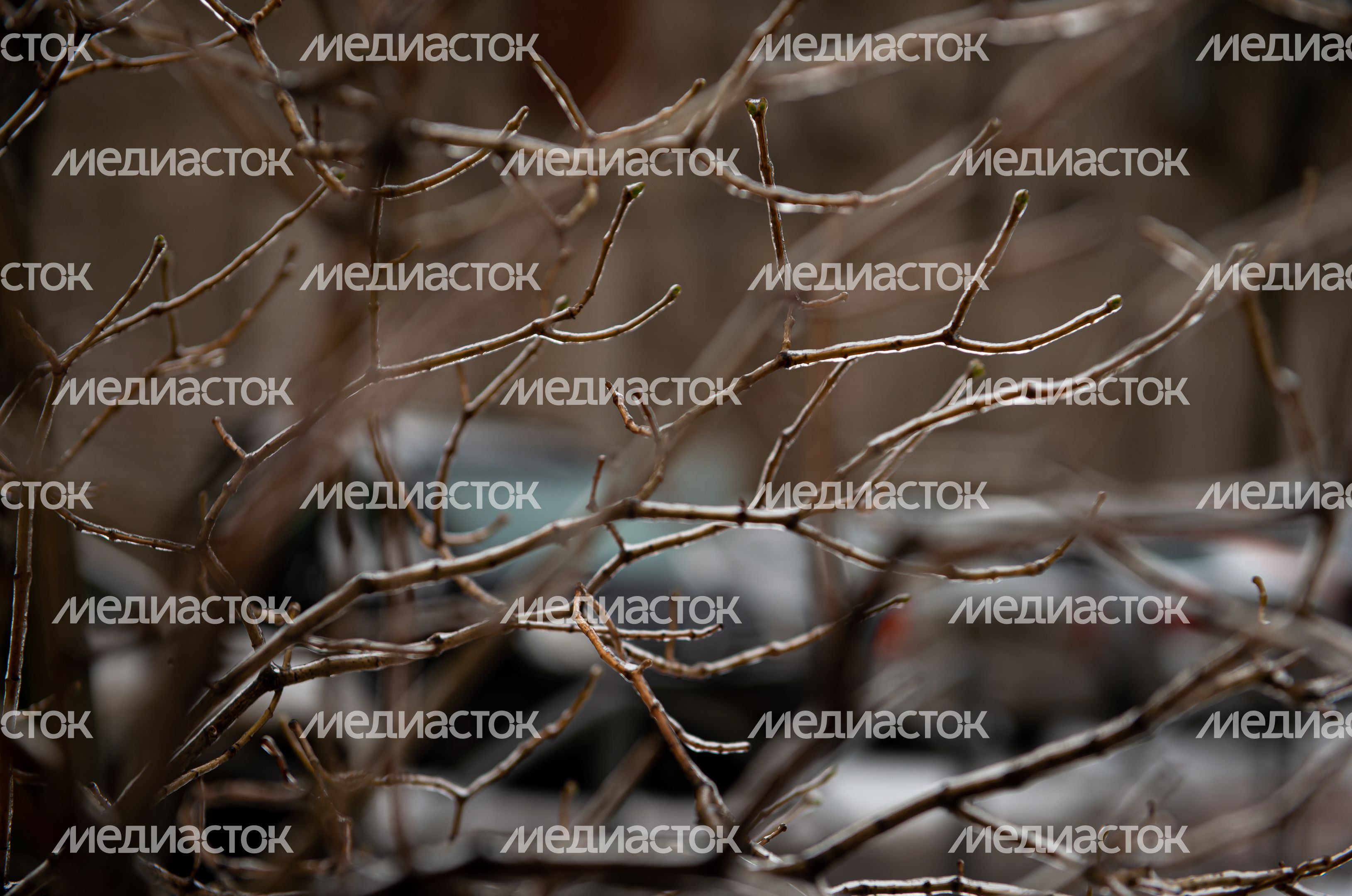 Последствия ледяного дождя в Москве