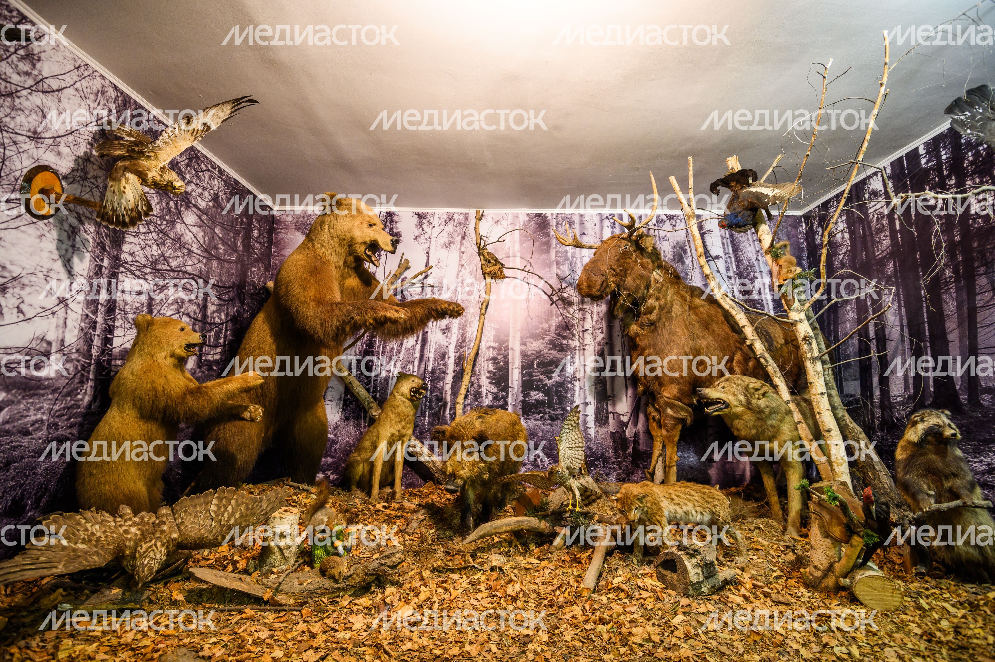 Ногинский музейно-выставочный центр Ногинский музейно-выставочный центр