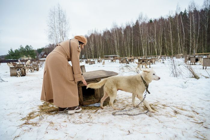 Чукотское стойбище "Хаски парк" в Раменском округе зимой