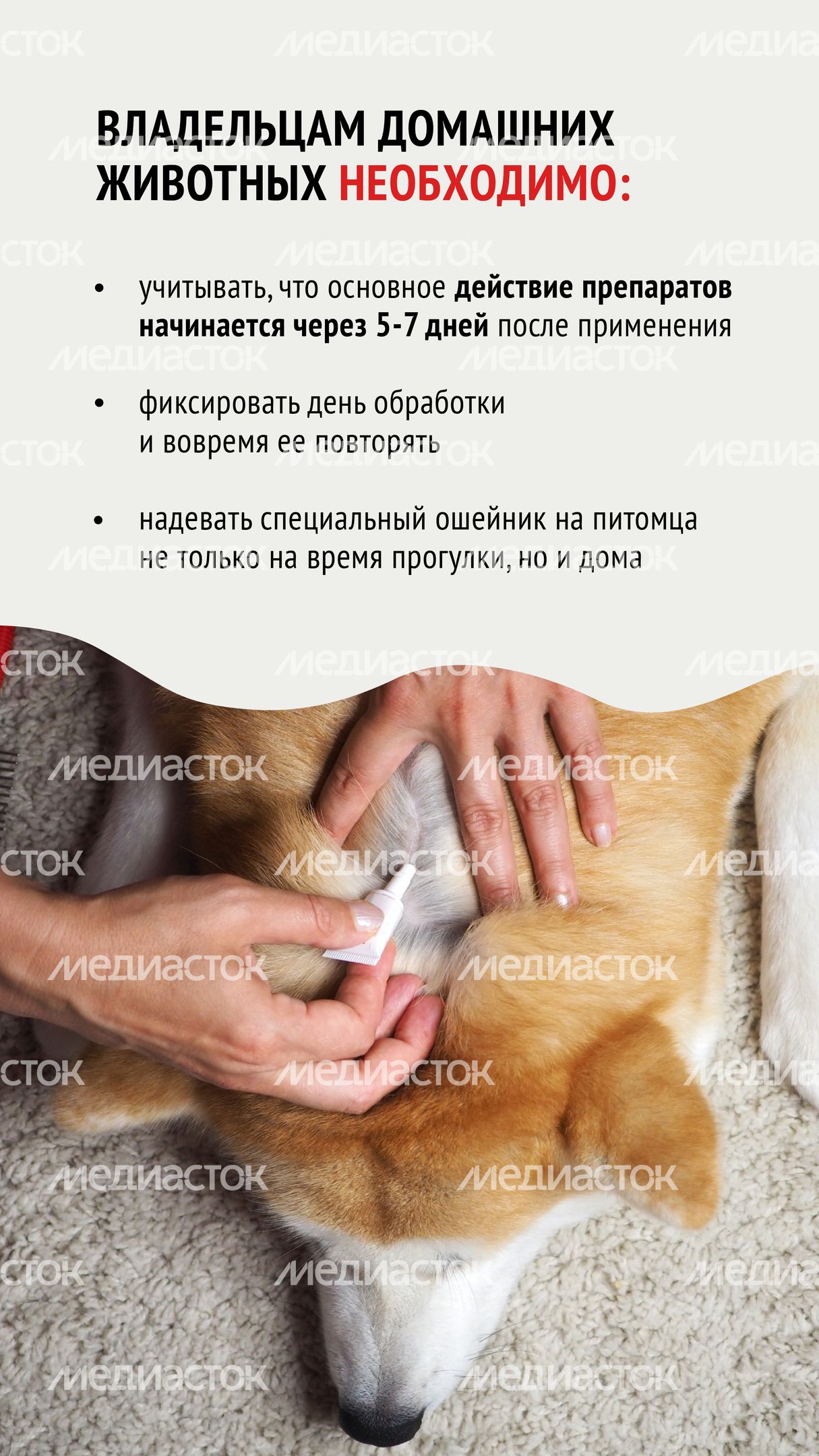 Клещи-03.jpg