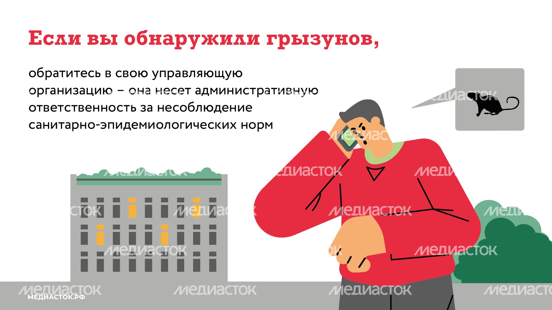 Крысы в МКД горизонталь (6) Крысы в МКД горизонталь (6)