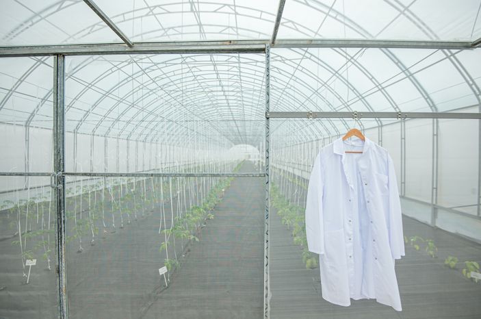 Теплицы крупного семеноводческого агропромышленного комплекса ООО «Агрофирма Партнер»